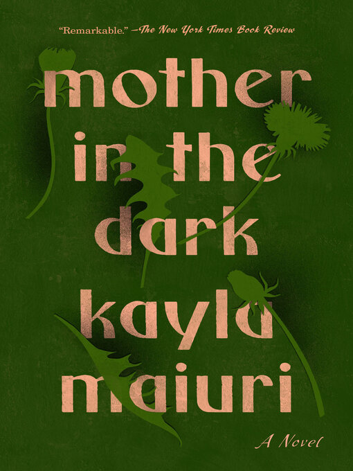 Title details for Mother in the Dark by Kayla Maiuri - Available